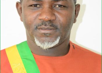 Législatives en Guinée : Entre dénonciation d&rsquo;un « vol organisé » et exigences d’un Parlement indépendant, les vérités chocs du Dr Ibrahima Sory Diallo